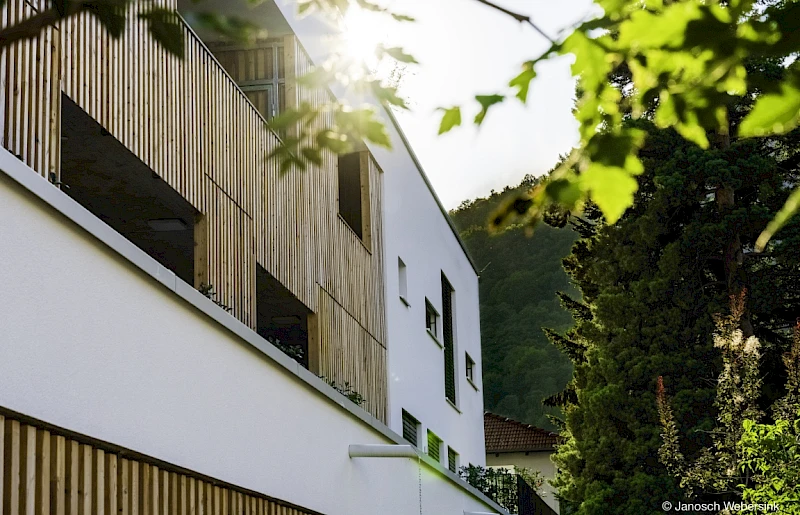 Projekt Alt Eggenberg II – Bild 5