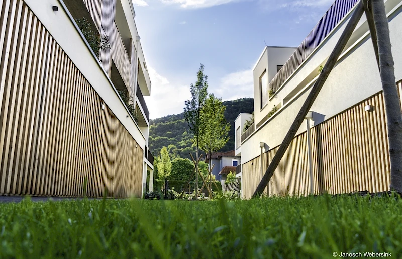 Projekt Alt Eggenberg – Bild 2
